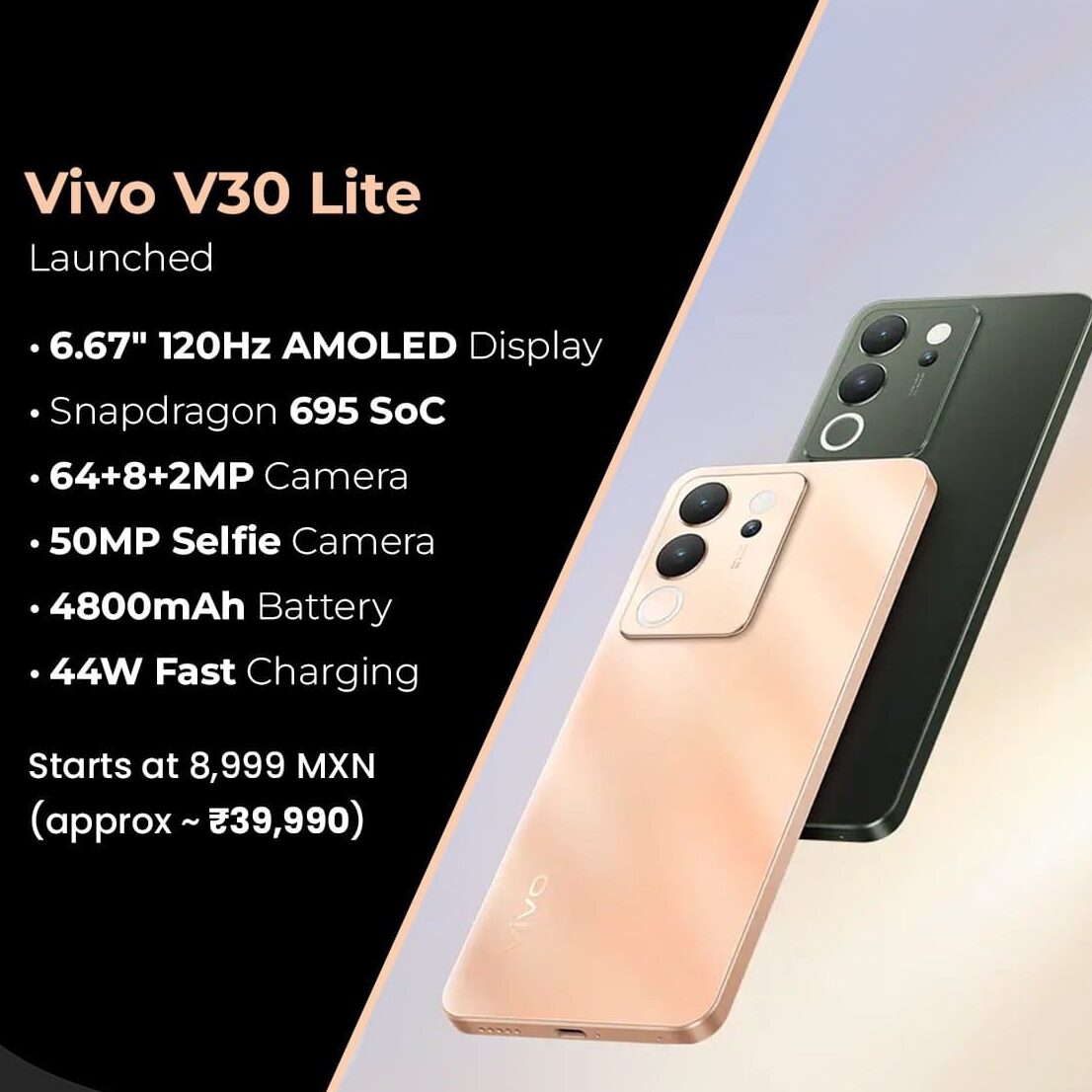 Vivo V30 Lite Upcoming Phone